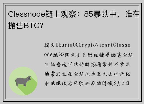 Glassnode链上观察：85暴跌中，谁在抛售BTC？