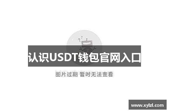 认识USDT钱包官网入口